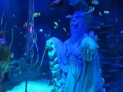 -沈阳海洋探索中心