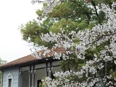 -湖北中医药大学(昙华林校区)