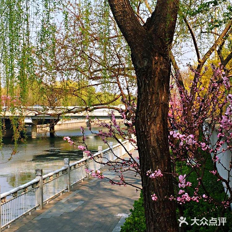 北京绿道，顾名思义，北京的绿色道路。不去深究其定义