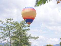 -中国科学院西双版纳热带植物园