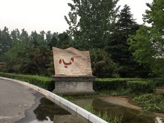 -南海禅寺