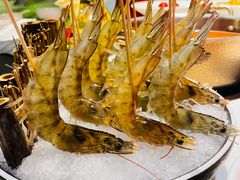 会跳舞的虾-川越泰火锅(吉利大厦店)