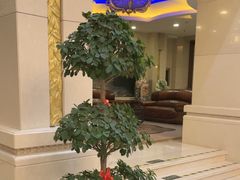 -碧中海汤泉汗蒸酒店