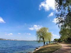 -丁香湖公园