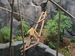 -武汉动物园