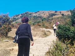 -大姆山草场