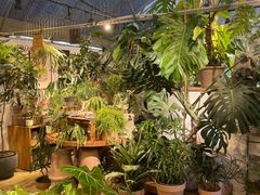 -自由生长植物工作室(深港花卉中心店)