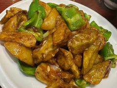 -邵年鸽(杨庄店)