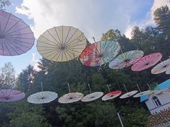 -五营国家森林公园