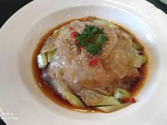 -碧丽宫大酒店(召稼楼店)