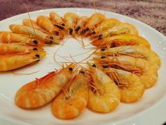 -欢乐海岸美食联盟