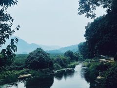 -西溪国家湿地公园