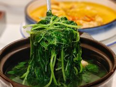 -荟廷·晶萃(陆家嘴尚悦湾店)