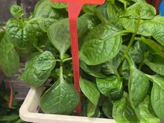 -塘人·老底子宁波菜小馆(南塘老街店)