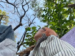 -九龙公园