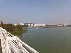 -贡湖湾湿地公园