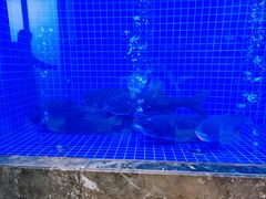 -忆江南·临江鱼馆