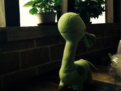 iphone_upload_pic-栖巢咖啡(天鹅湖万达低碳店)