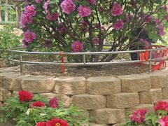 -太阳宫公园