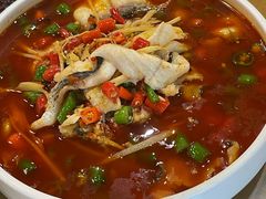 -易老妈蹄花.特色川菜(人民公园总店)