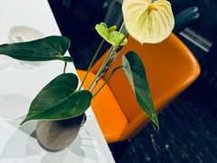 -眉州东坡(北苑华贸店)