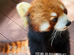 -普洱太阳河森林公园