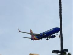 -In-N-Out Burger(LAX)