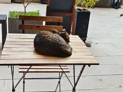 -转山咖啡(松柏社区店)