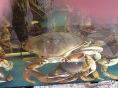 蟹之国-蟹之国·精品蟹料理(极地店)