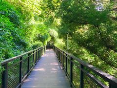 -阿哈湖国家湿地公园