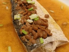 鸡汤姜蓉蒸大白鱼-粗茶淡饭·隐庐私厨(东亭店)