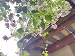 -深圳国际园林花卉博览园