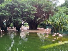 -九龙公园