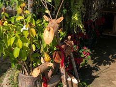 -Ohkajhu Organic Farm Sansai