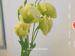 -伊斯坦布尔土耳其清真咖啡餐厅