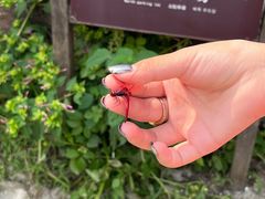 -西溪南古村落