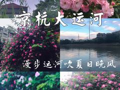 -运河游船(武林门码头)