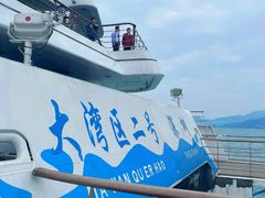 -招商蛇口邮轮母港(观光客运)