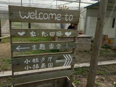 -前小桔亲子创意农场·草莓采摘·露营烧烤
