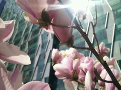 -北京希尔顿逸林酒店