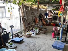 -马陆小张葡萄园农家乐