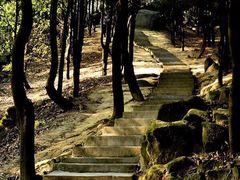 -火炉山森林公园