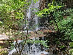 -本溪汤沟绿石谷森林公园