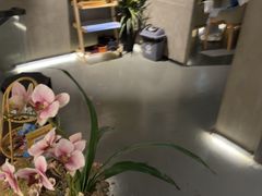 -施奈儿.洗头頭療.按摩SPA.采耳(上梅林店)