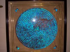 -上海昆虫博物馆