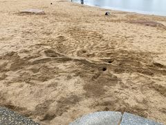-上海月湖雕塑公园