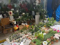 -循礼门鲜花花市(武汉循礼门店)