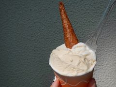 柚子葡萄柚-DIP in GELATO(富民路店)