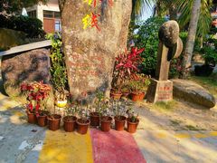 -海南分界洲岛旅游区