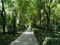-唐城墙遗址公园